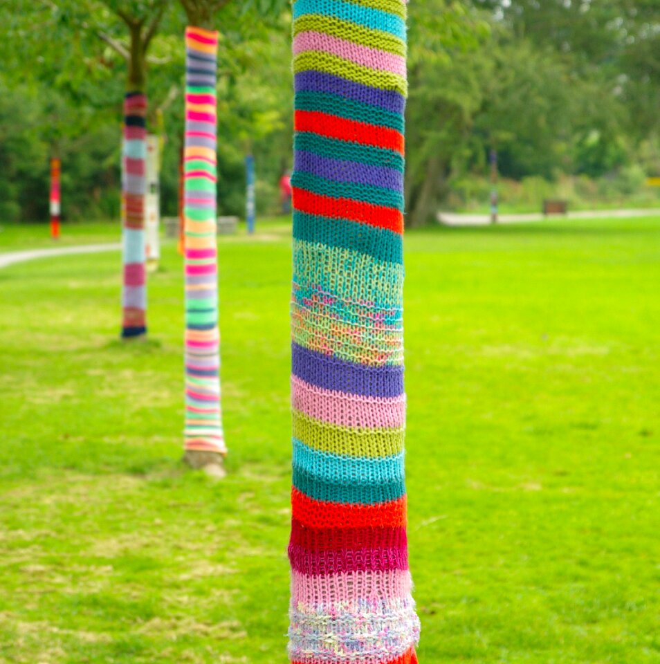 Knitting trunks lawn