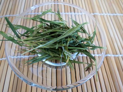 Plant herbs saucer