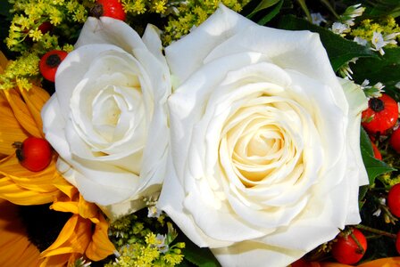 Charm bloom beauty