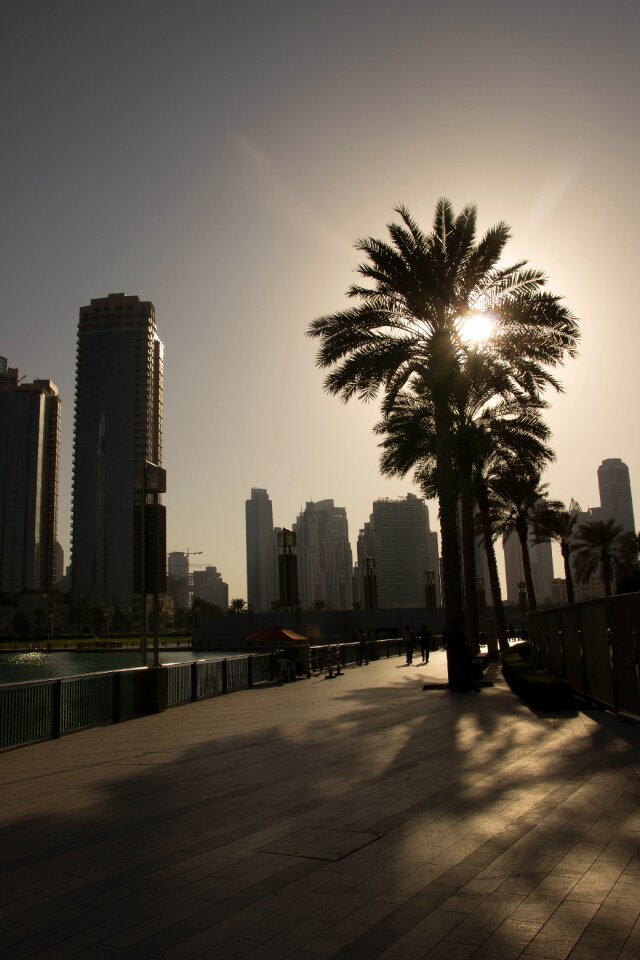 Setting sun sun sunset