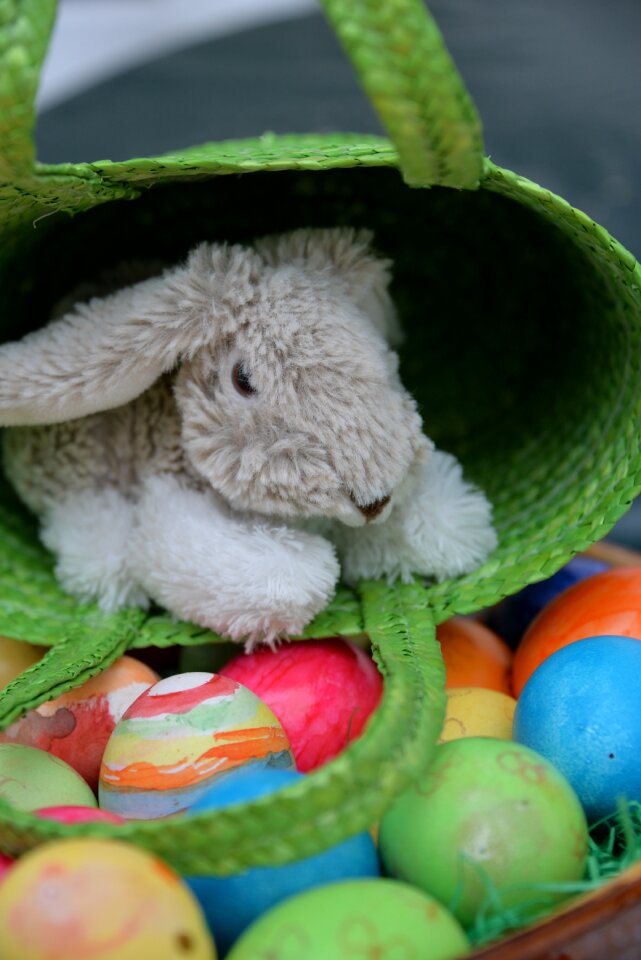 Colorful easter eggs color
