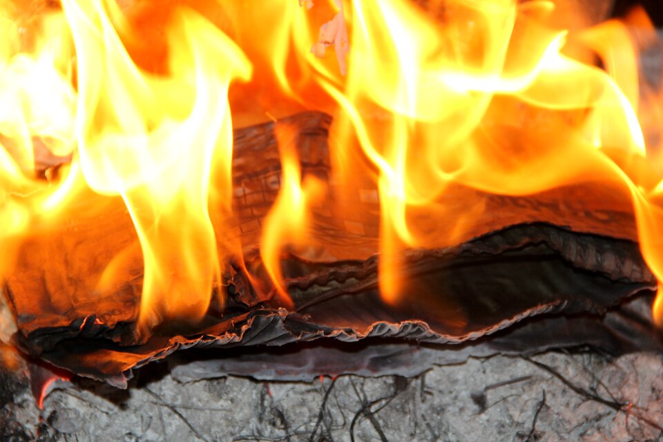 Bonfire flames campfire