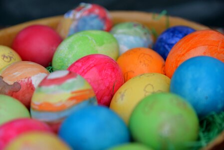 Egg colorful color