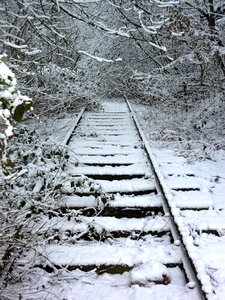 Rails overgrown railway photo