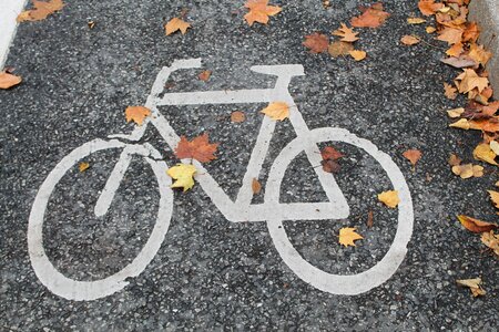 Cycle path cyclists wheel photo