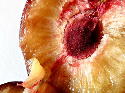 A single piece of fruit closeup semen