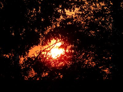 Romance evening sky setting sun photo