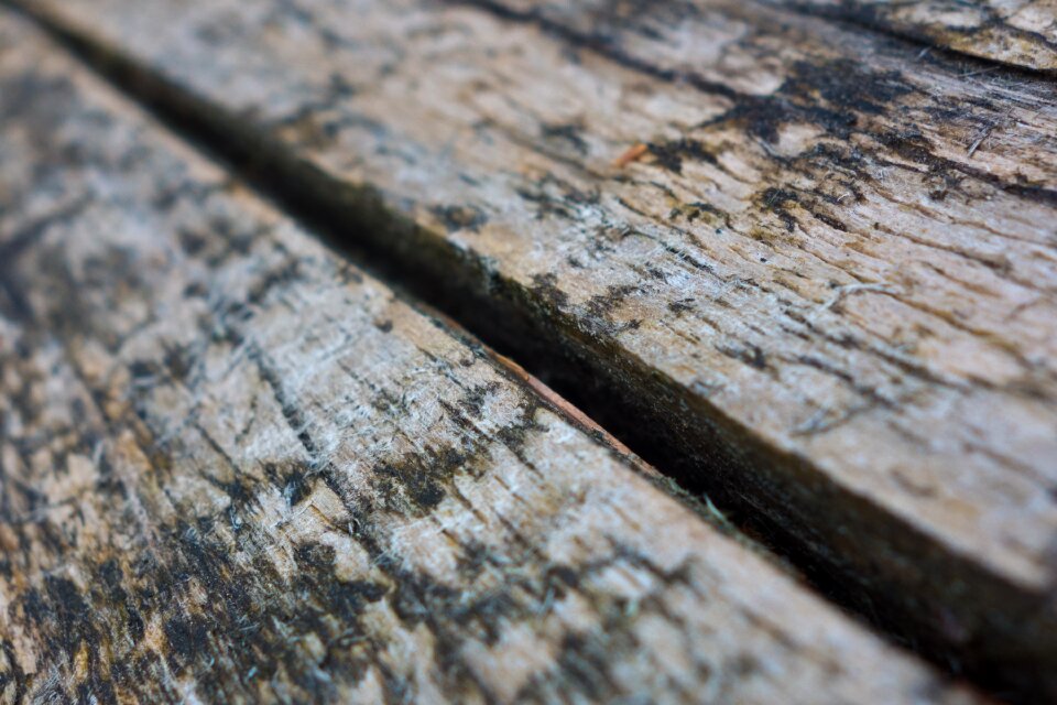 Old texture panels photo