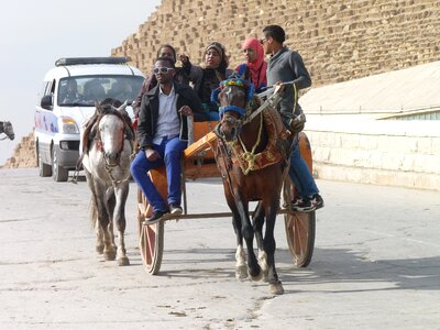 Horse cart egypt tourism photo