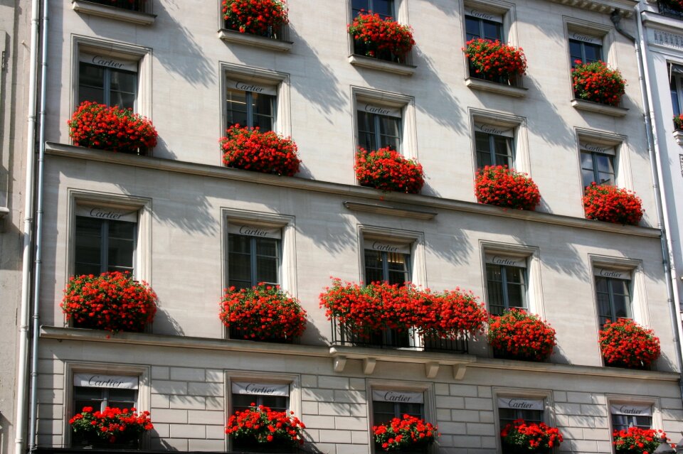 Planters cartier paris