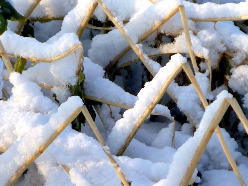 Wintry snowy cold