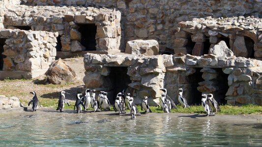 Zoo animals zoological garden