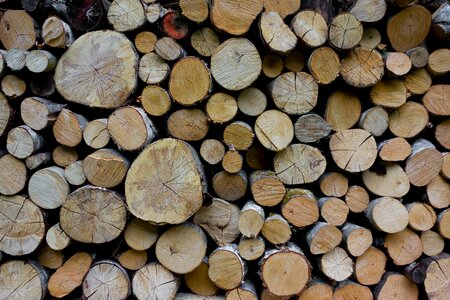 Firewood timber growing stock