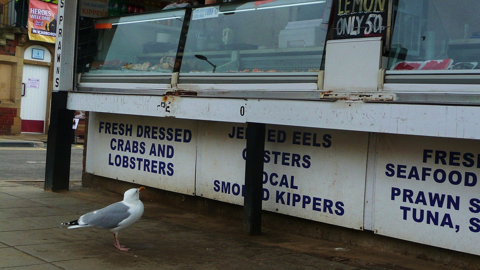 Customer fish store photo