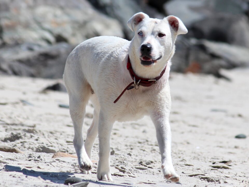 White necklace sand beach