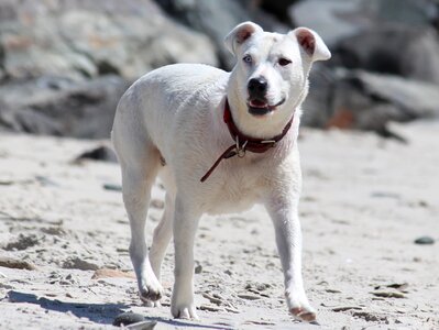 White necklace sand beach