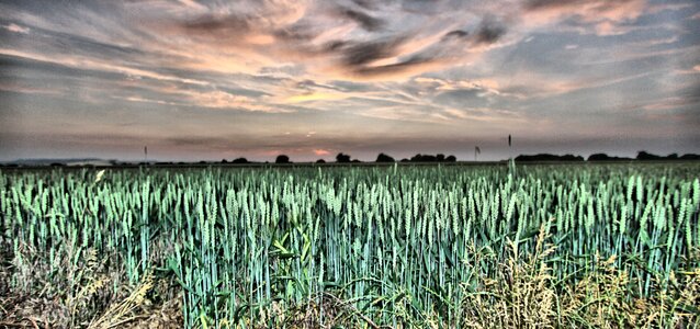 Farm landscape nature