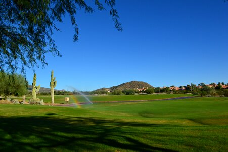 View mountain fairway
