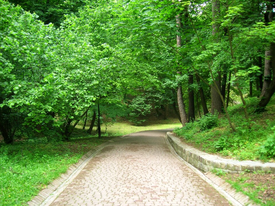 City park parks landscape