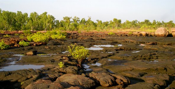 Landscape australia