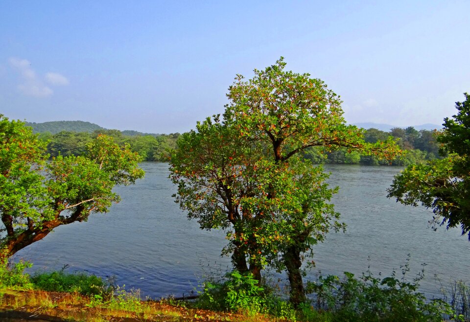 Western ghats forests scenic