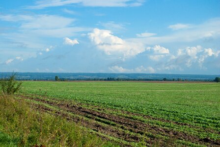 Field clouds landscape photo