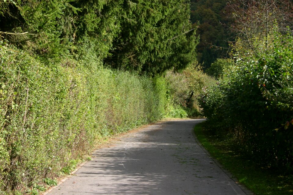 Hiking luxembourg lellingen