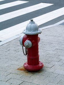 Usa crosswalk pavement photo