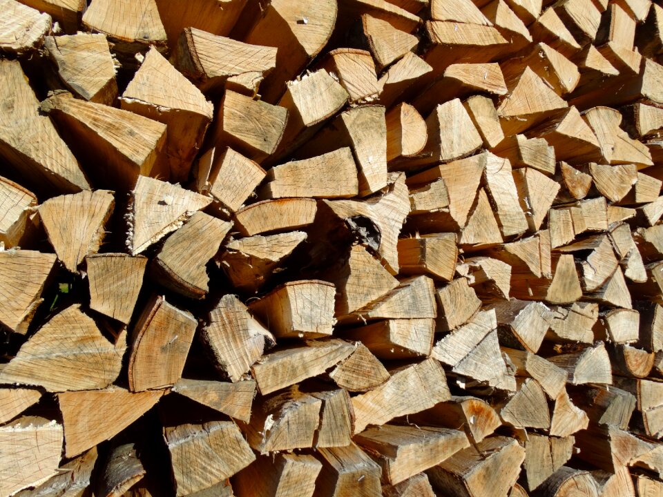 Firewood growing stock stacked up