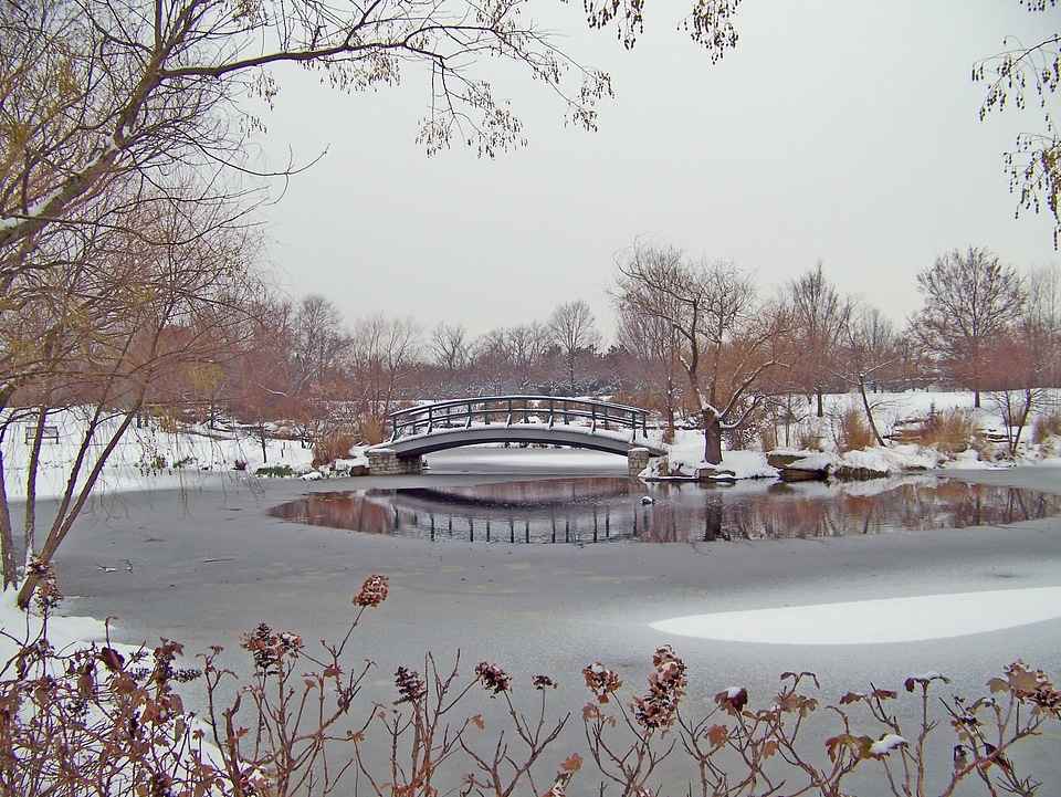 Outdoors scenery winter