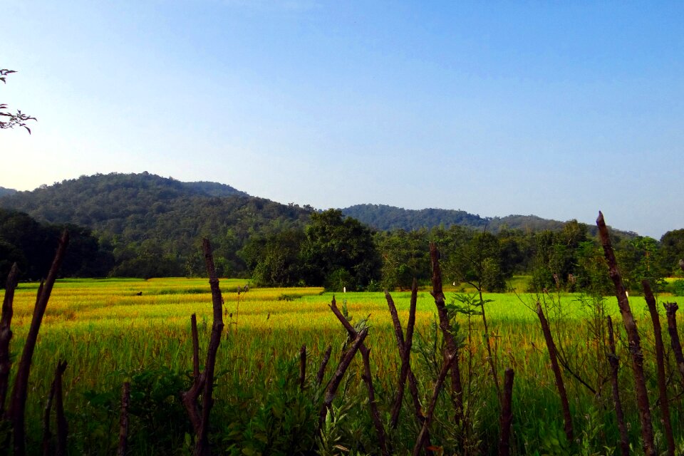 Countryside rural agriculture