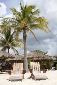 Tropical ocean sand photo