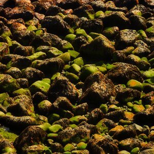 Nature shore texture