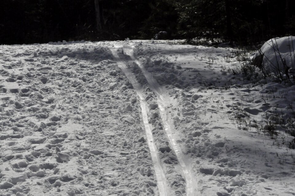 Track winter skiing