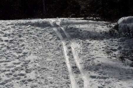 Track winter skiing photo