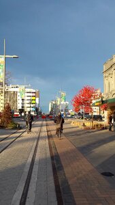City autumn