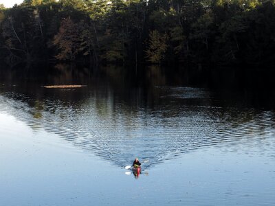 Paddle summer recreation photo