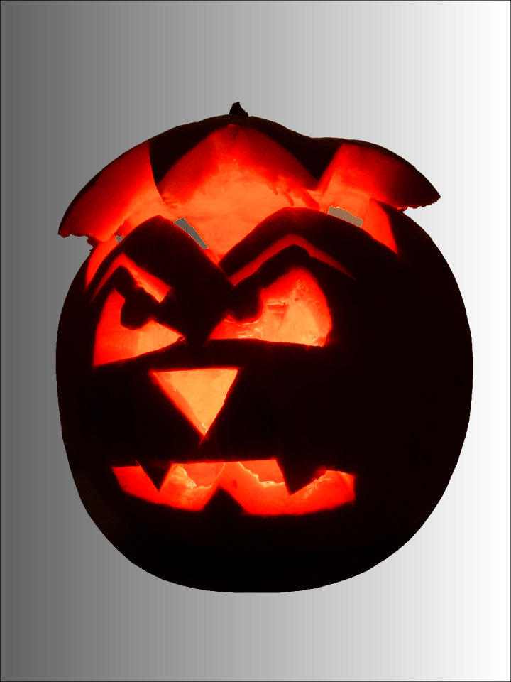 Culture festival pumpkin festival