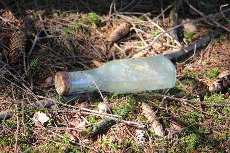 Debris nature glass