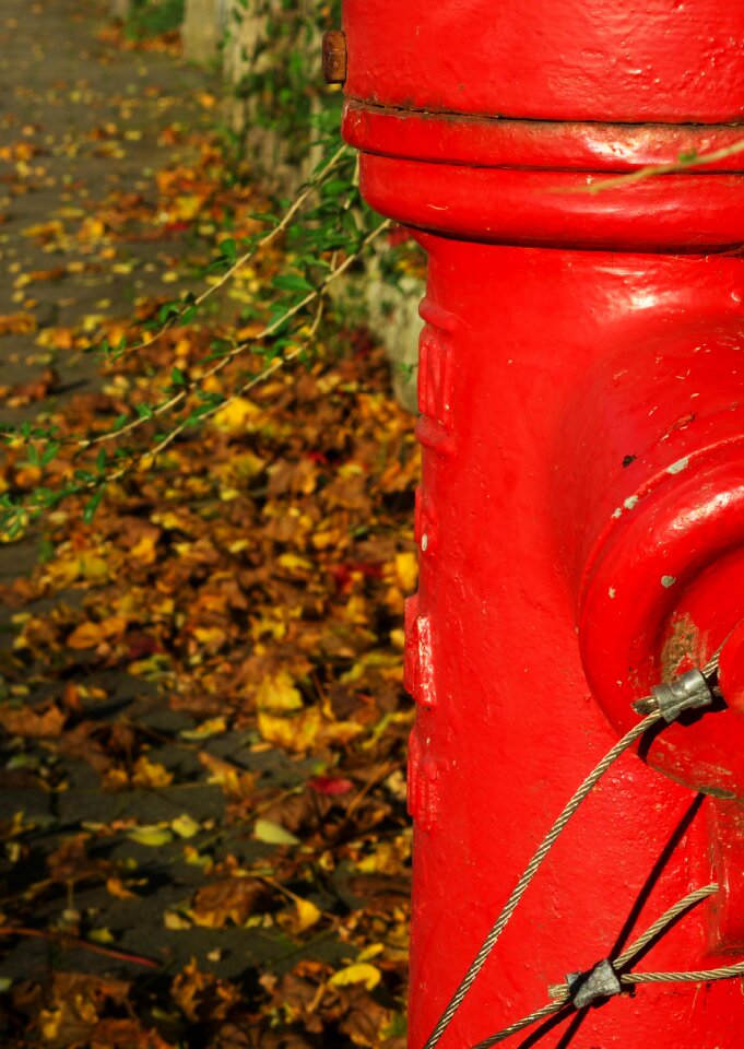 Red pavement sidewalk photo