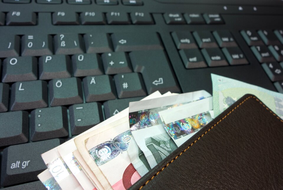 Euro leather wallet