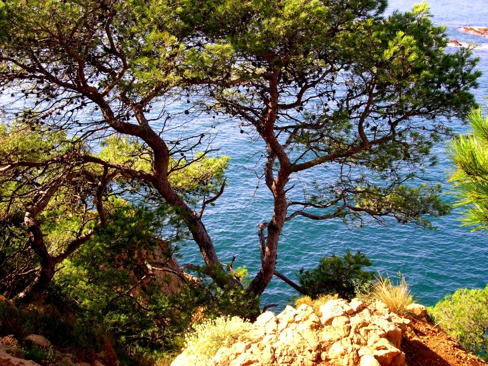 Blue side mediterranean sea