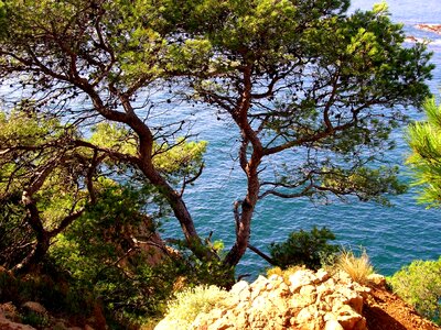 Blue side mediterranean sea