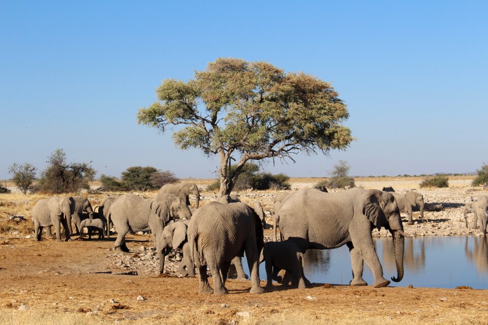 Namibia wild nature