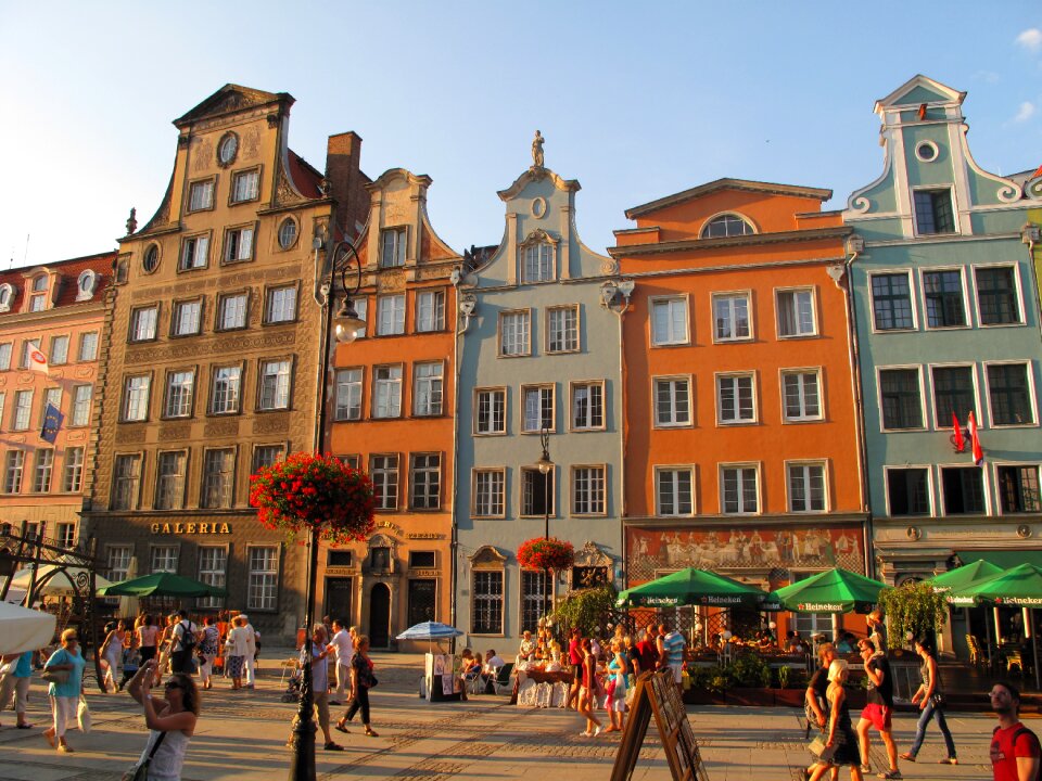 City houses buildings