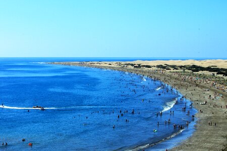 Canaria spain canary