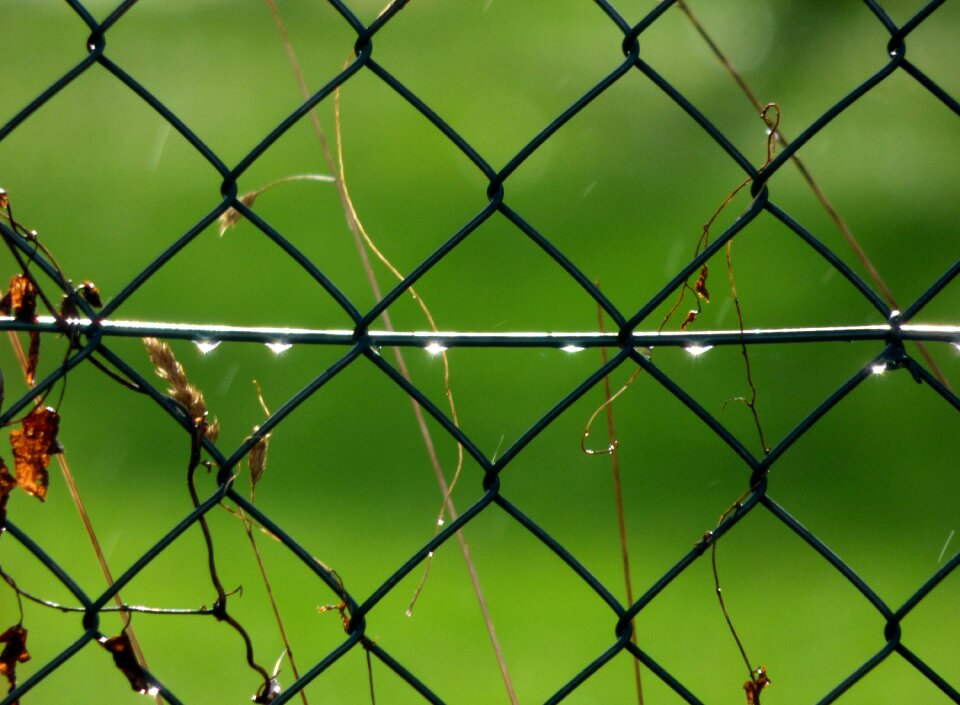 Mesh lighting fencing