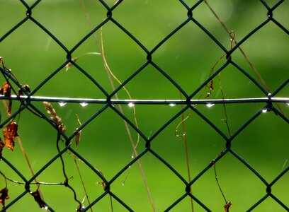 Mesh lighting fencing