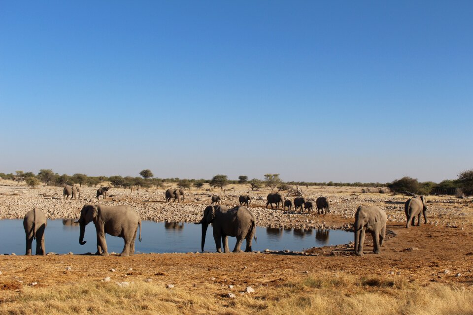 Namibia wild nature