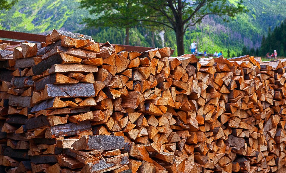 Logs wood logs beech logs